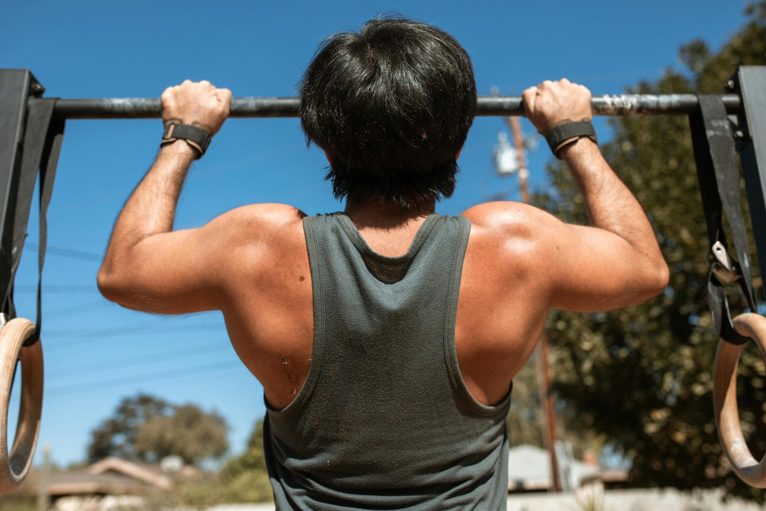 back training calisthenics